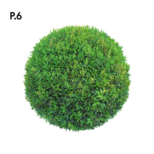 Přírodopis_motiv6.jpg Přírodopis_motiv6.jpg